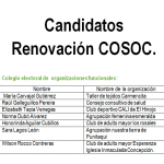 Candidatos cosos 1